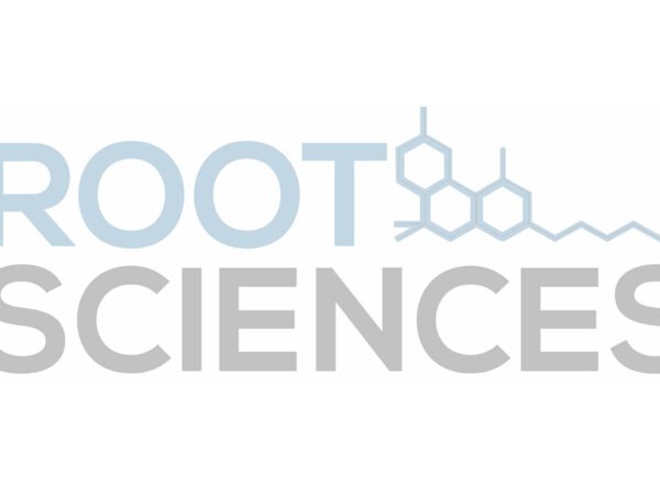 Viton Sanitary Flange Gasket 6"